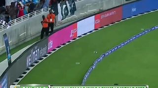 Babar Goat