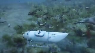 Unbelievable the Titan footage under sea.