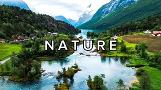 Nature 93