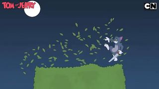 Tom and Jerry 43