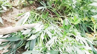 Berkebun16
