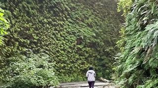 melihat alam yang menakjubkan
