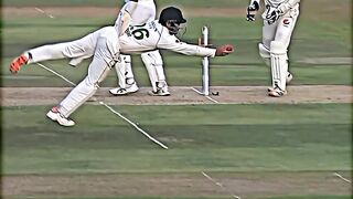 What a catch by imam ul haq ????????????????????????????  unbelievable catch