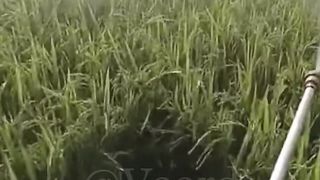 Amazing video |Respect|Amazing Skill