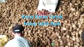 Kerja keras demi keluarga