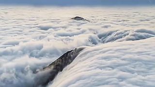 Shocking video from a drone