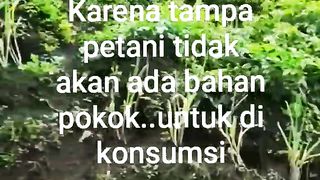 Petani Milenial