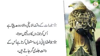 Jisam ki Thkawat ho ya Dard (Body fatigue or pain) | Amazing Quotes | Quotes in Urdu