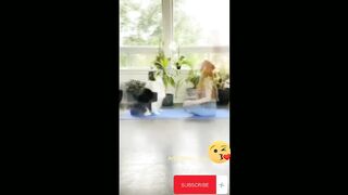 Adorable dog activity funny
