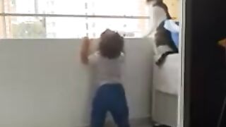 Cat keeps little baby safe