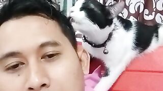 beloved cat