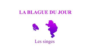 5 Vidéos drôles 2