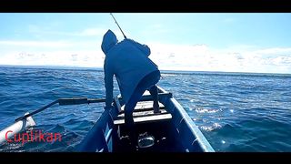 Light Popping predator | fishing