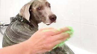 Oscar on Spa treatments