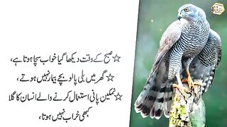 Baal Gir gay hein ya Safaid aa gay hein (Hair loss or graying) - Deep Quotes - Quotes about life