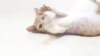 My name is mochi