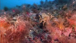 How Deep is Ocean?:Unveiling the Mysteries of the Deep Sea