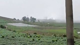 My Village