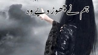Nice shayari best line