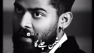 Beautiful lines 4