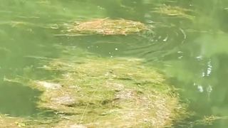 funny fishing