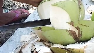 young coconut