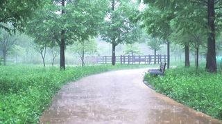 Amazing satisfy rain video
