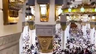 Naatsharief, Naat, Madina, 2