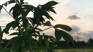 Beautiful sunset 3