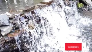 The Heartwarming Essence of Punjabi Folk Sangeet | Sufi Kalam | TIPS