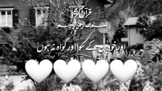 Quran verses 17