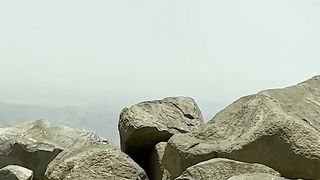 Monkeys near Medina Taif Saudi Arabia