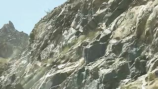 Taif Saudi Arabia