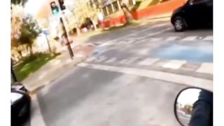 Злые собаки и страшный взгляд