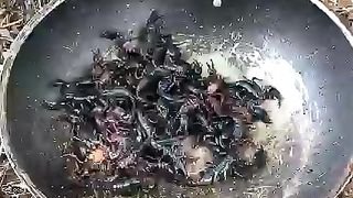 eating a grilled scorpion is really extreme food