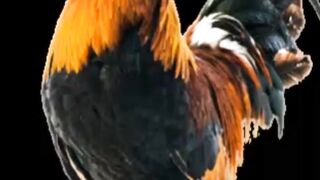 Chiken by ai