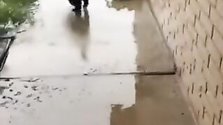 Cat coming home frightened of hail