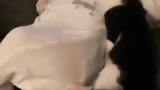 The kitten sleeping with the baby is incredibly cute.