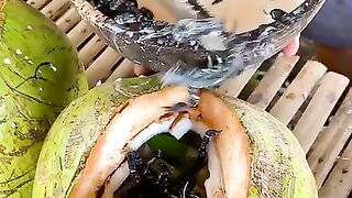 OMG!!! Cooking scorpion with coconut ????