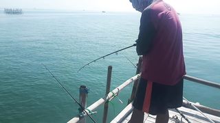 Mancing di bagan ,, mancing laut