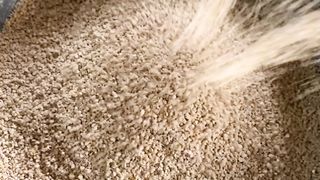 Broiler chicken and duck feed