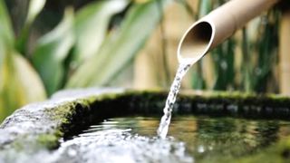 Water and bird therapy