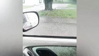 WHEN YOU'RE SO STUPID 14