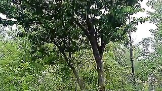 Video .1