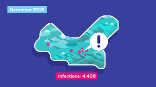 The Coronavirus Explained & What You Should Do