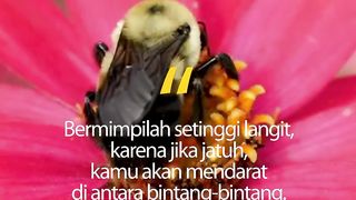 Motivasi 86