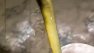 looking for eels to eat camping