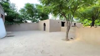 Punjab culture 4