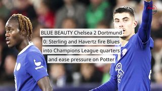 artikel video