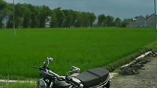 Awali Pagi Dengan Cinematik Bolo